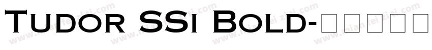 Tudor SSi Bold字体转换